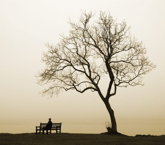 Memoir - Square Photograph (A4) - consulo