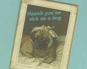 Get Well Gift Tag, Sick As A Dog