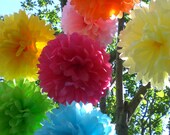 Birthday Party Decorations..7 Hanging Poms Plus 3 Free  Flowers..Any Color