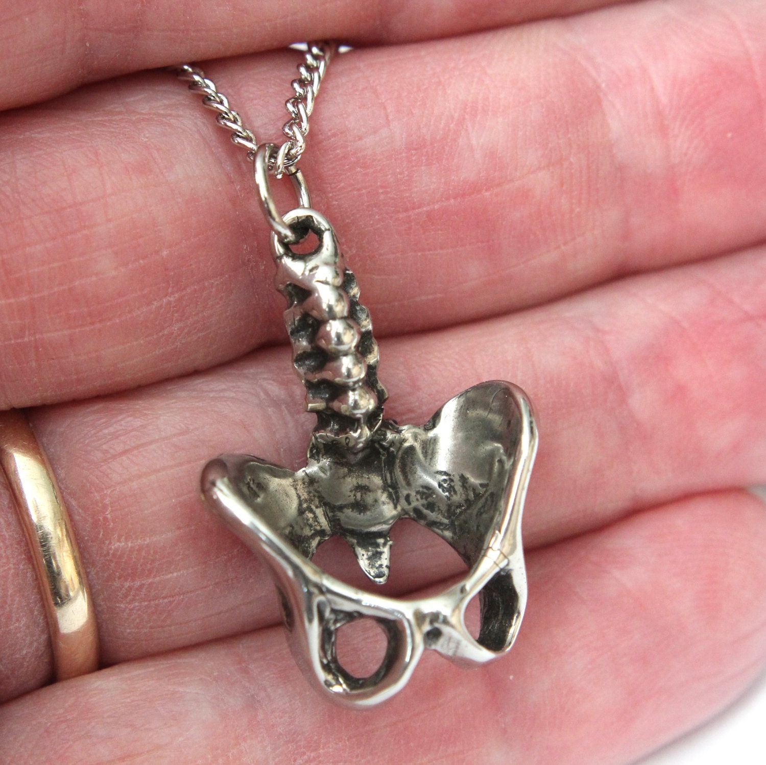 Human Pelvis Necklace in White Bronze