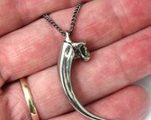 Eagle Talon Claw Necklace in White Bronze