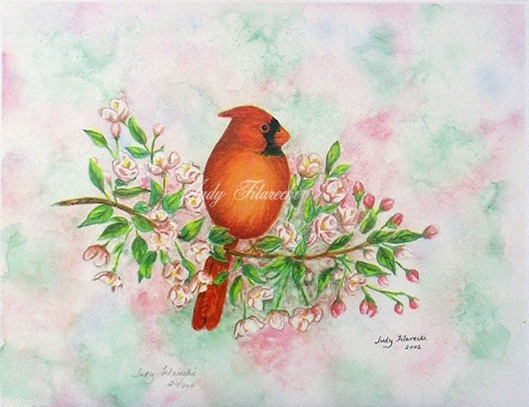 Red Bird Cardinal Print limited edition 11 x 14