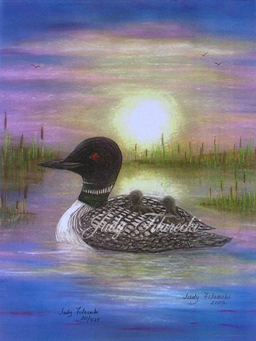 Loon Mother and Babies 11 x 14 Limited-Edition Art Print