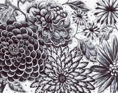 Moonlight Garden - Starry Night- Magical- Flowers - Hand Drawn 5x7" Original Ink Drawing
