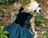 My Little School Girl - Fancy Dog Dress