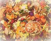 Hillbilly Homebrew Handcrafted Potpourri