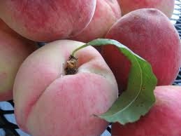 Atlanta's Finest - White Peach-Vanilla Handmade Soap