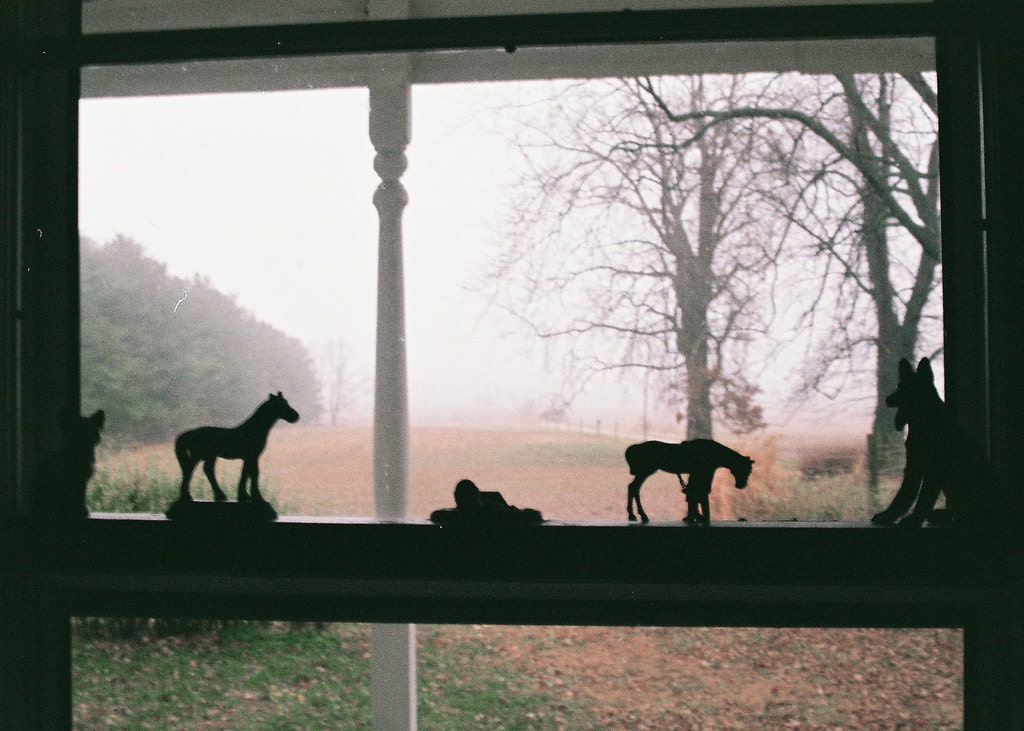 Out The Window photo print