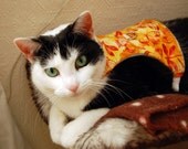 Cat Harness / Small Dog Harness