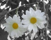 Daisy Earrings