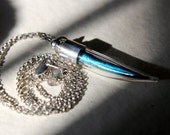 butterly wing . parrot feather . horn vial . necklace . iridescence