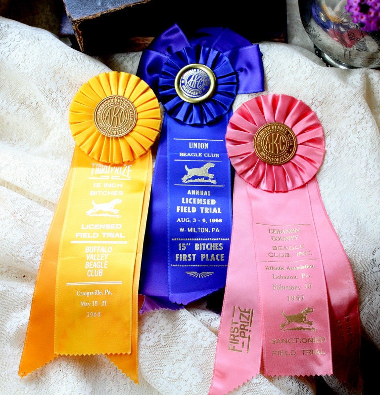 VIntage Dog Show Pink, Blue and Gold Award Rosette Ribbons
