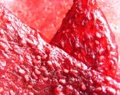 Raspberry Rhubarb - Rolled Fruit Leather- Full Sheet - We Pay Shipping