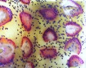 Kiwi with dried strawberry slices Rolled Fruit leather - Shipping included