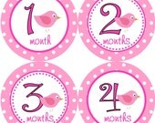Baby Month Stickers - Girl Monthly Onesie Stickers Hot Pink Polkadot Birdies Bird Month Stickers Baby Shower Gift and Photo Prop -Chloe