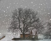 Winter Photography, white, tree, barn, snow, winter home decor Snow Barn fine art photography print 8x10