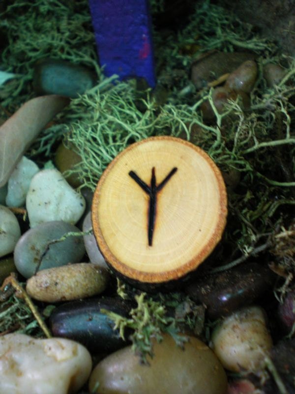 Magnolia Wood ALGIZ Rune Amulet for your Pocket, Altar, and More