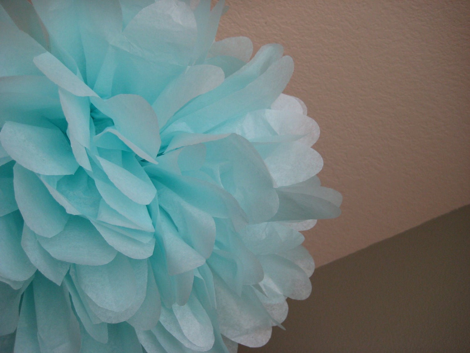 Custom Large Tissue Paper Pom Pom DIY Decor Kit - Build Your Own Pom Package Il_170x135