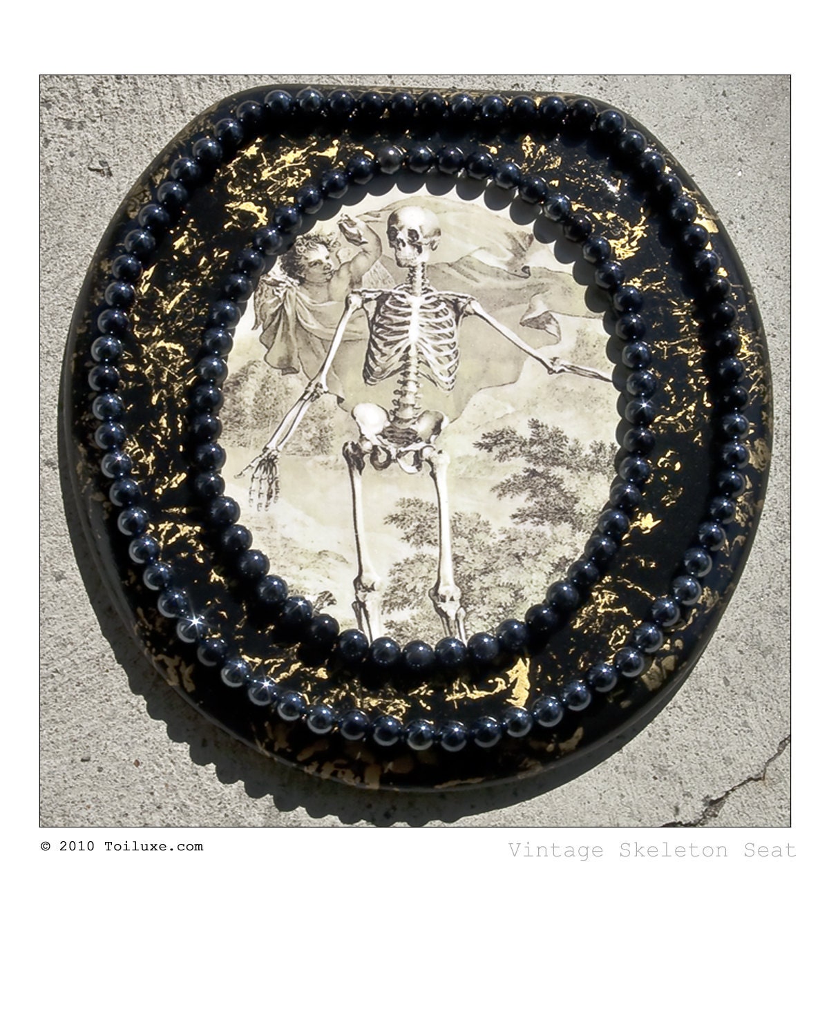 Vintage Skeleton Toilet Seat
