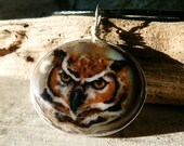 Owl  - fused glass pendant