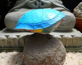 Turtle Shell Rattle Hand Made From Found Shell