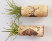 Air Plant Garden Magnet Pin & Refrigerator Decor  MADE TO ORDER - two