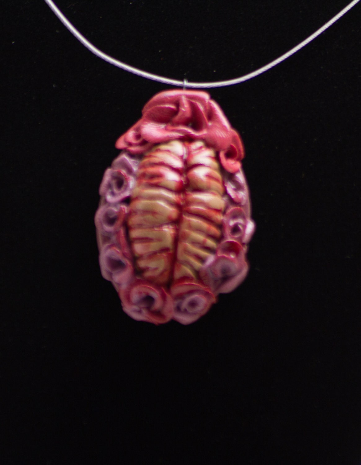 Delicious Brains