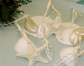 Beach Mini Christmas Ornaments - Set of 10 Seashell and Starfish Ornaments