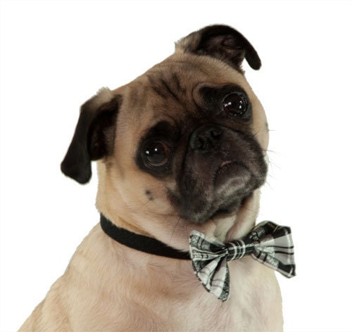 Festive Dog Bowtie