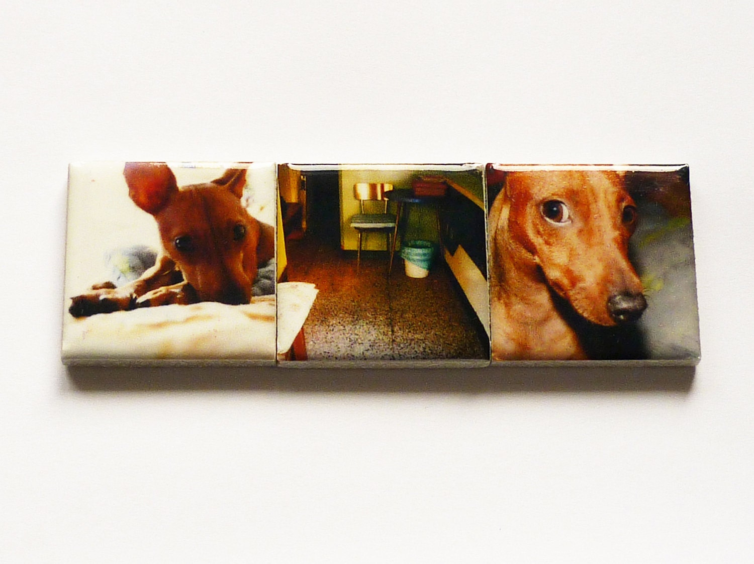 MAGGIE GOLDEN DOG Fridge Magnet set of 3