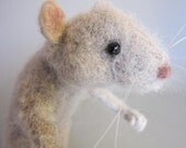Lanky Woolen Rat