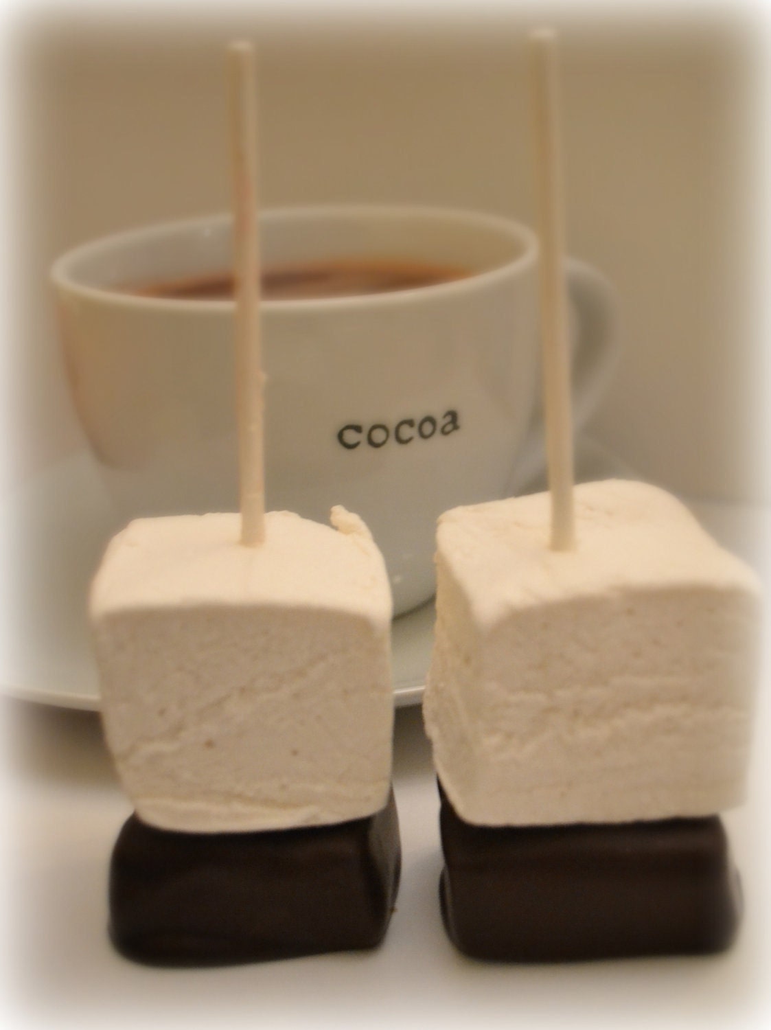 Gourmet Hot Chocolate and Marshmallow Pops - set of 4