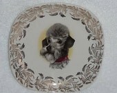 Vintage Poodle Dog England Nelson Ware Plate Dish Collector English