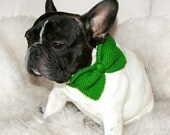 Dream about Butterflies.  Green and Red - 2 decor necklace for pet.