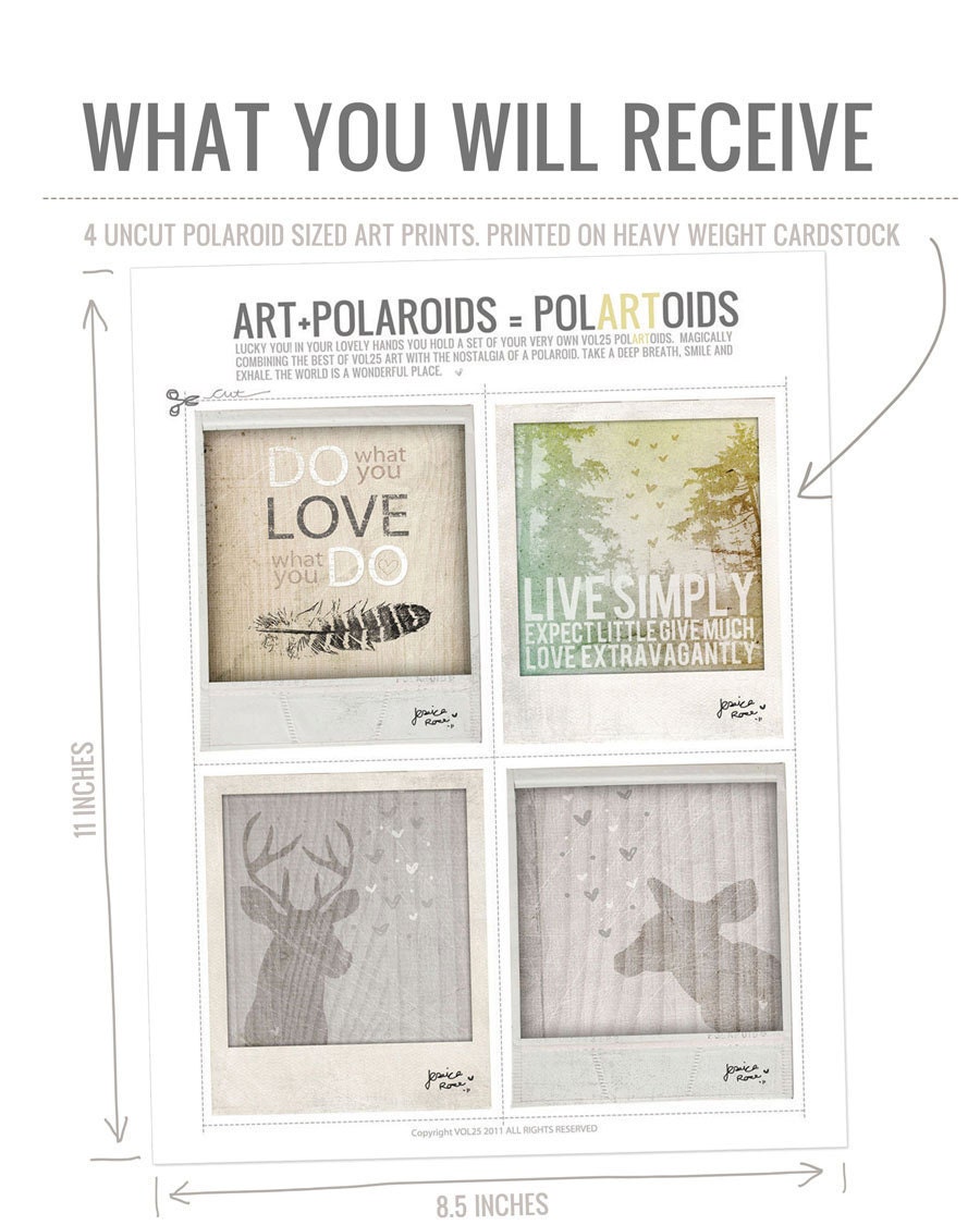 POLARTOID- Polaroid Sized VOL25 Art- add onto your order