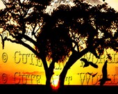 5x7 image mixed media art "Digital Art Collage" Download Vintage Safari Sundown