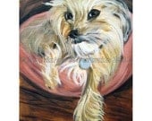 dog or cat pet portrait oil on canvas 12x16