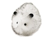Snowball Stuffed Guinea Pig Plushie Medium Size