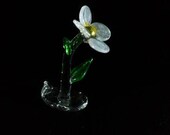 White Flower