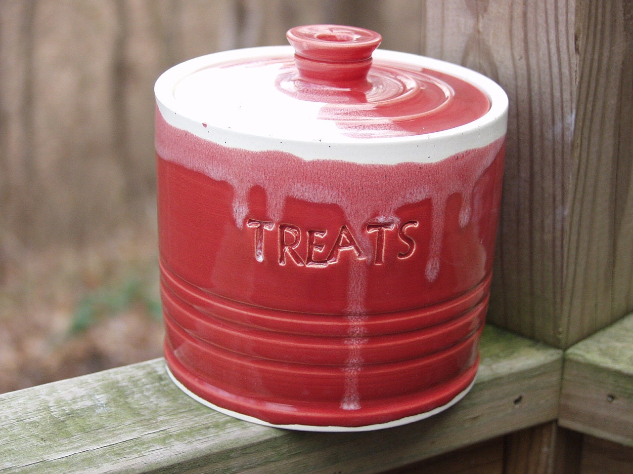 Ruby Red Lidded Treat Jar for Mom Pet Puppy Love Dog Kids REAdY to SHIP