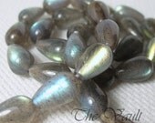 2 Labradorite 11-12mm smooth thru drilled drops