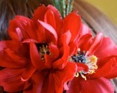 Olivia Green Peacock Feather and Red Flower Hair Fascinator