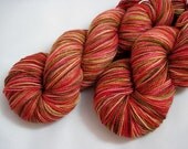 I Wear a Fez Now - Handpainted Superwash Merino-Nylon Sock Yarn 400 yds