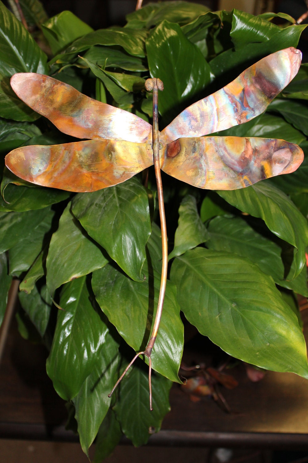 Copper Dragonfly