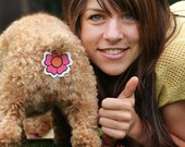 Rear Gear butt covers for your dog or cat. See my Etsy store for available styles and purchasing.