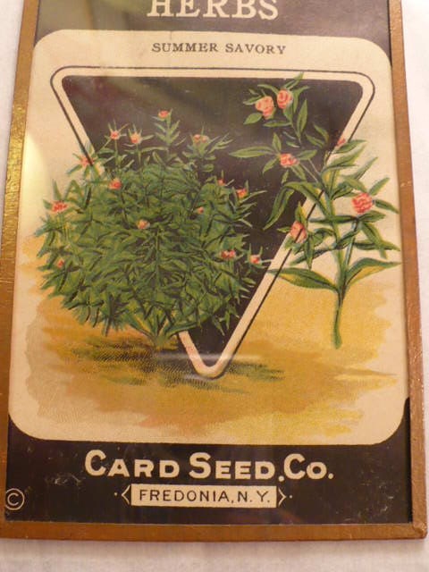Card Seed Company 1920's Herbs Framed Art Sale Was 6 dollars