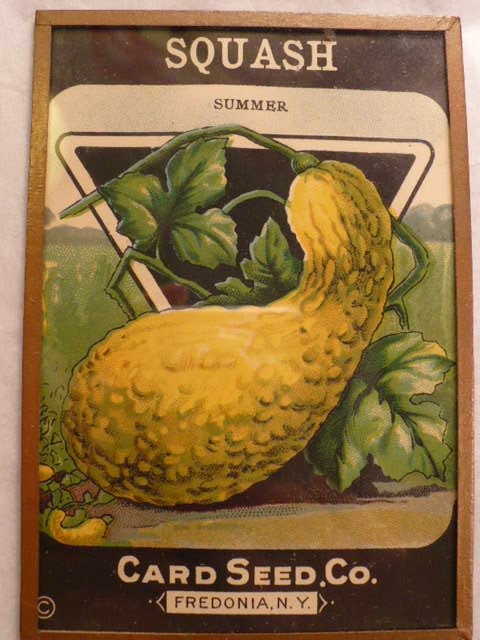 Card Seed Company 1920s Squash Framed Art