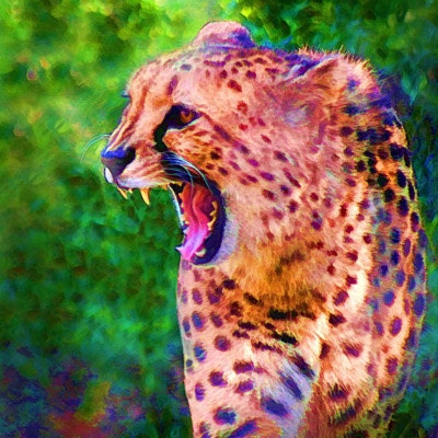 Cheetah Print - 8x10 Print