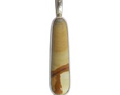 Picture Jasper Pendant set in sterling silver  ppjf1479