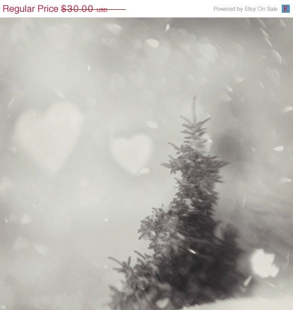 30% Sale - Tree Photo, Snow, snowstorm , pine tree, holiday, winter - Up to the Sky 8x8